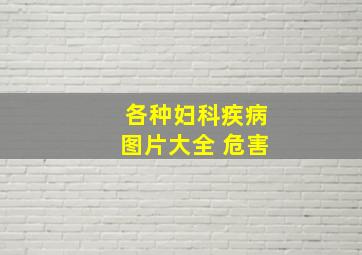 各种妇科疾病图片大全 危害